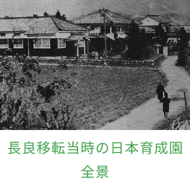 history image