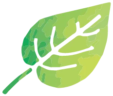 leaves deco