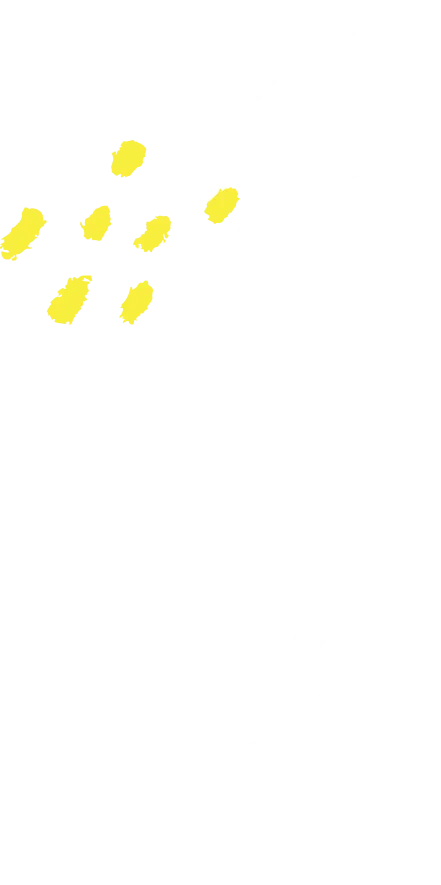 program_deco_01