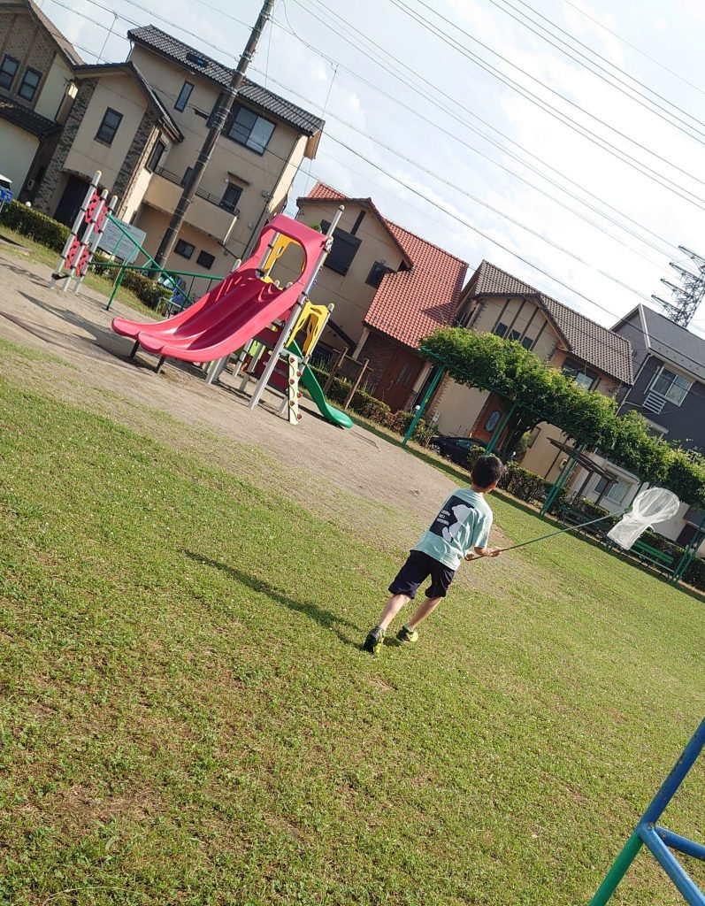 ブログ画像