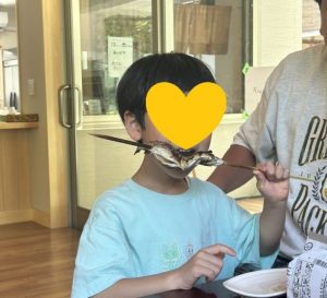ブログ画像